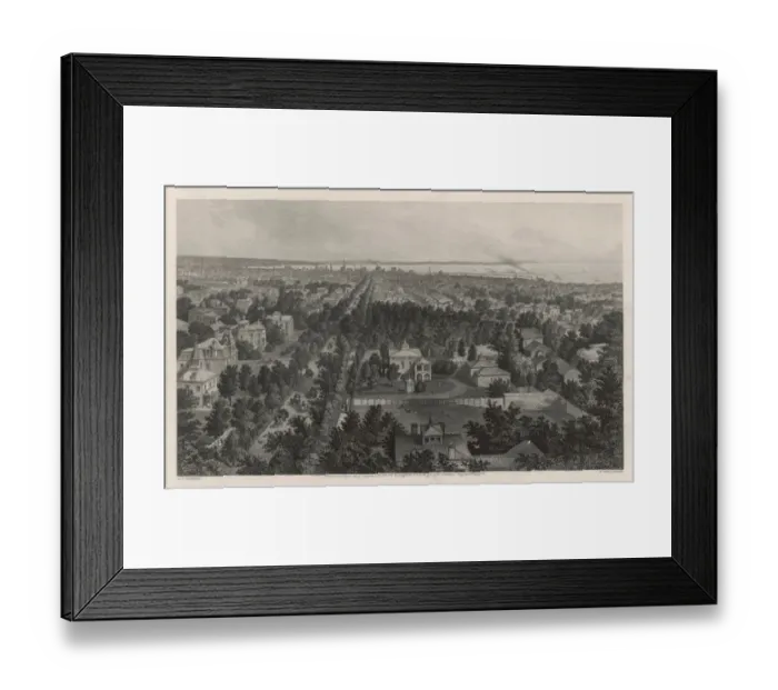 Framed Print : View of Buffalo NY Framed Print : View of Buffalo NY