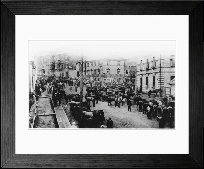 Framed Print : Anti-Bolshevik Czechs Framed Print : Anti-Bolshevik Czechs