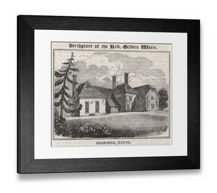 Framed Print : Gilbert White / Selborne Framed Print : Gilbert White / Selborne