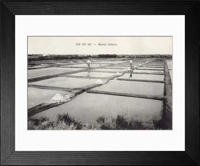 Framed Print : Salt on Ile De Re Framed Print : Salt on Ile De Re