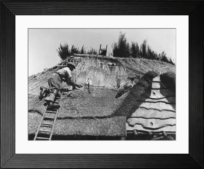 Framed Print : Norfolk Reed Thatcher Framed Print : Norfolk Reed Thatcher