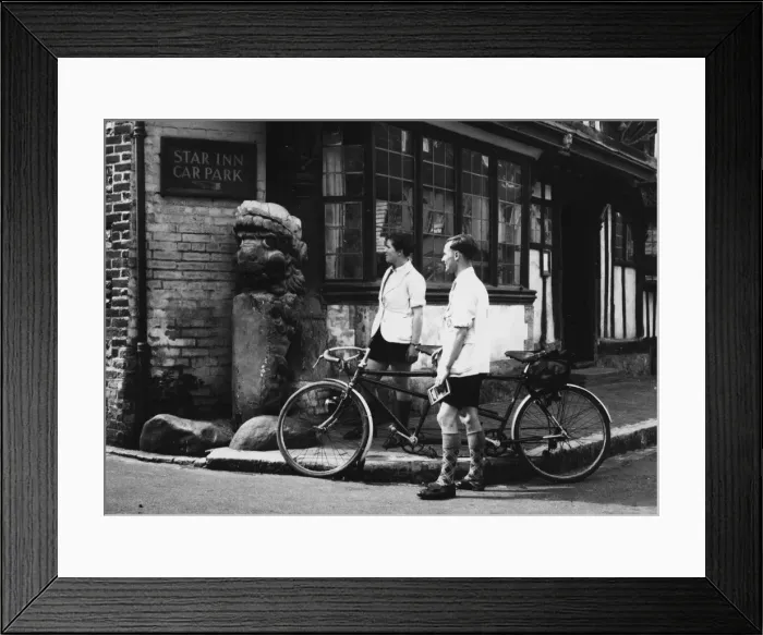 Framed Print : THE ALFRISTON LION Framed Print : THE ALFRISTON LION