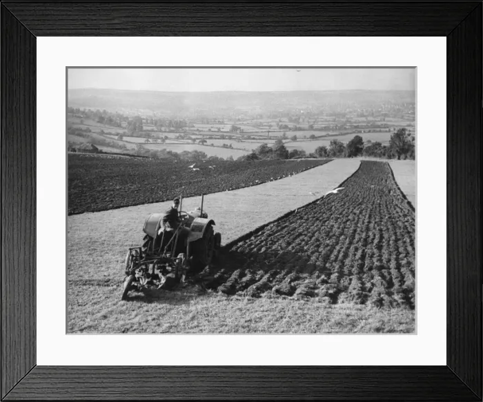 Framed Print : Autumnal Ploughing Framed Print : Autumnal Ploughing