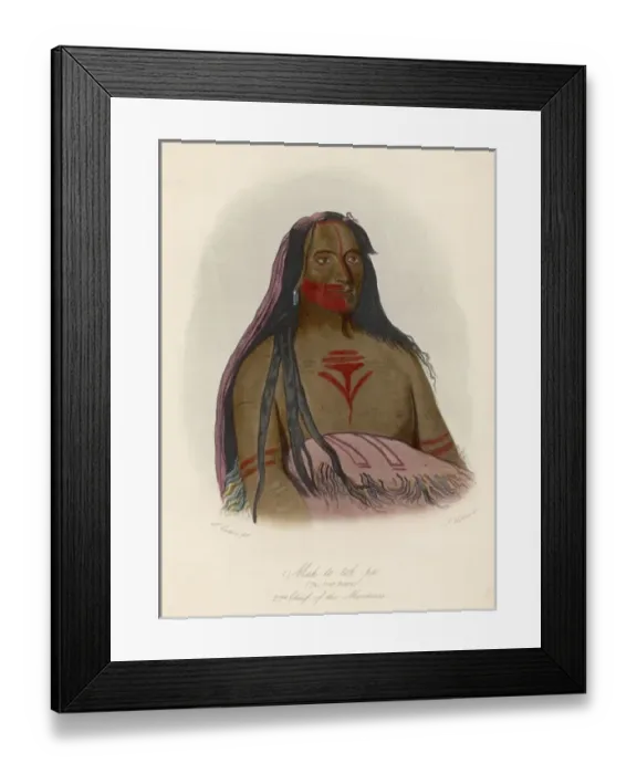 Framed Print : Mandan Chief Framed Print : Mandan Chief