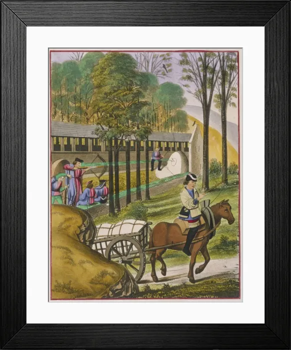 Framed Print : Sport / Archery (Shaw) Framed Print : Sport / Archery (Shaw)
