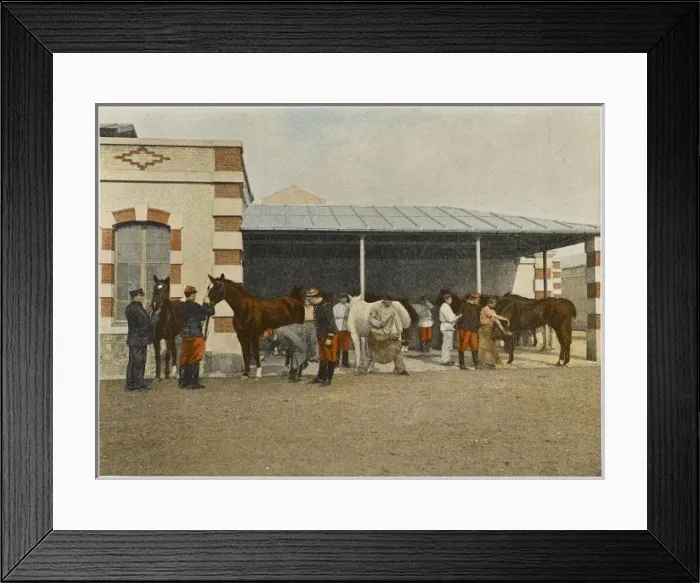 Framed Print : French Cavalry Vets Framed Print : French Cavalry Vets