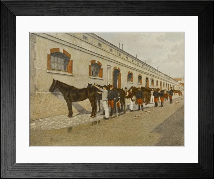 Framed Print : French Cavalry Grooming Framed Print : French Cavalry Grooming