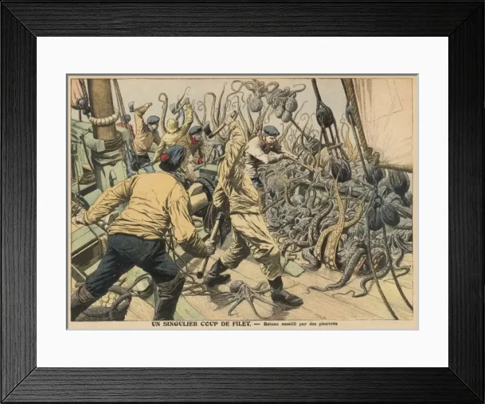 Framed Print : Haul of Octopuses / France Framed Print : Haul of Octopuses / France
