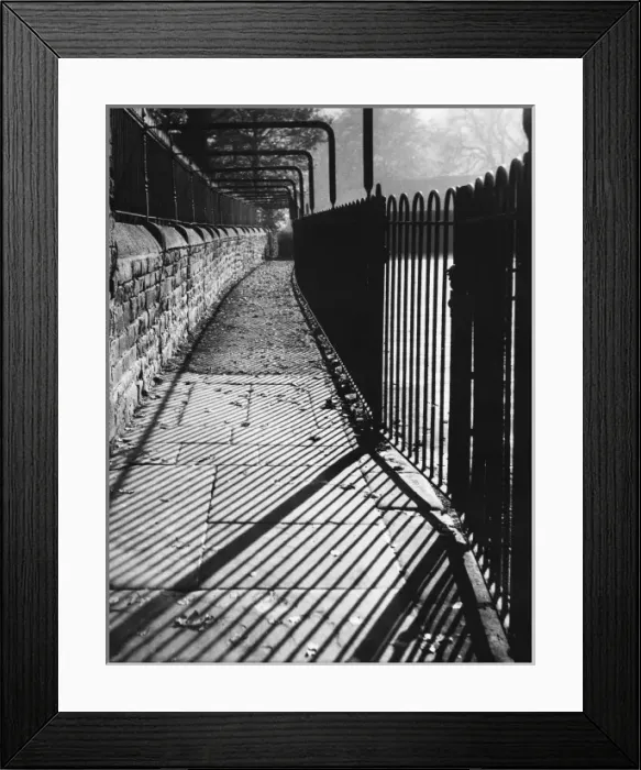 Framed Print : Autumn Shadows Framed Print : Autumn Shadows