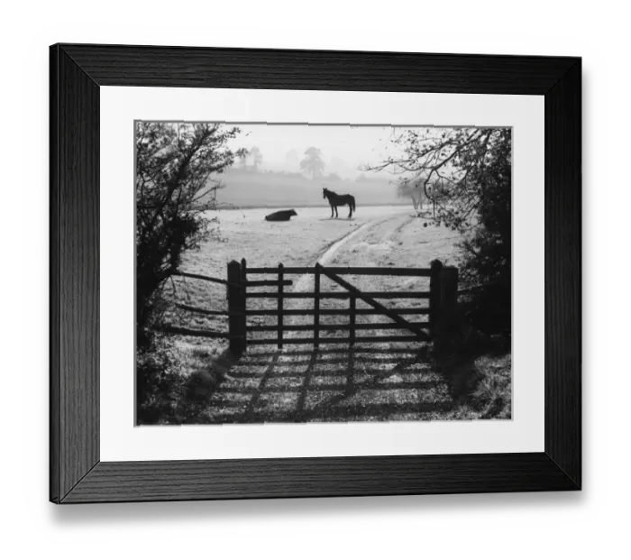 Framed Print : Autumn Animals Framed Print : Autumn Animals