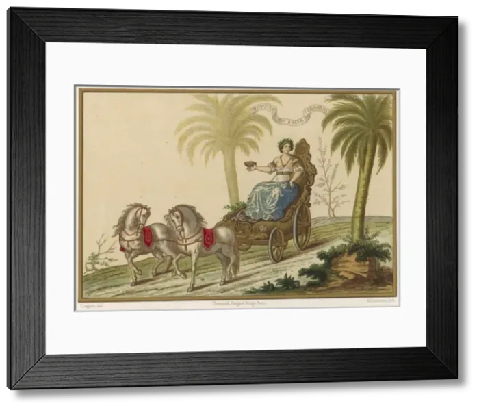 Framed Print : Stereotype / France Triump Framed Print : Stereotype / France Triump