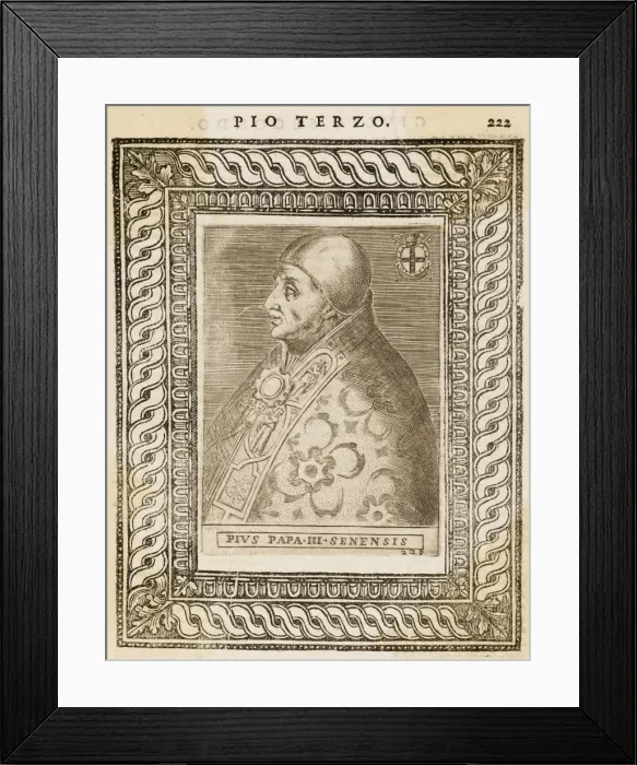 Framed Print : Pope Pius III Framed Print : Pope Pius III