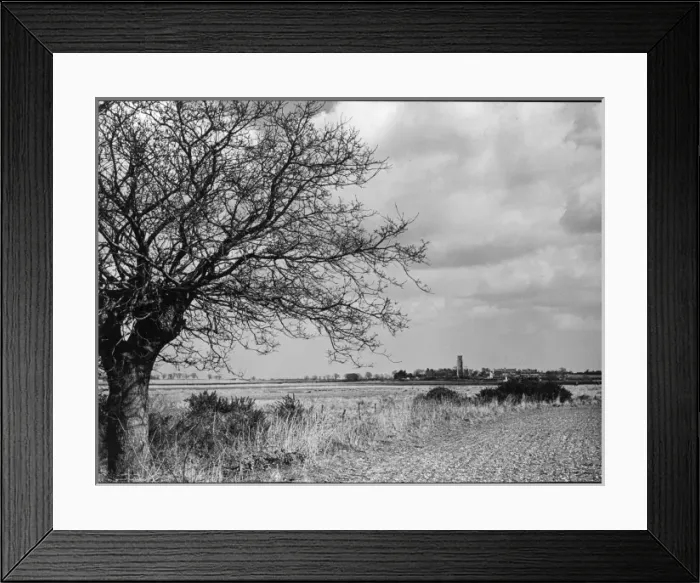 Framed Print : Suffolk Scenery Framed Print : Suffolk Scenery