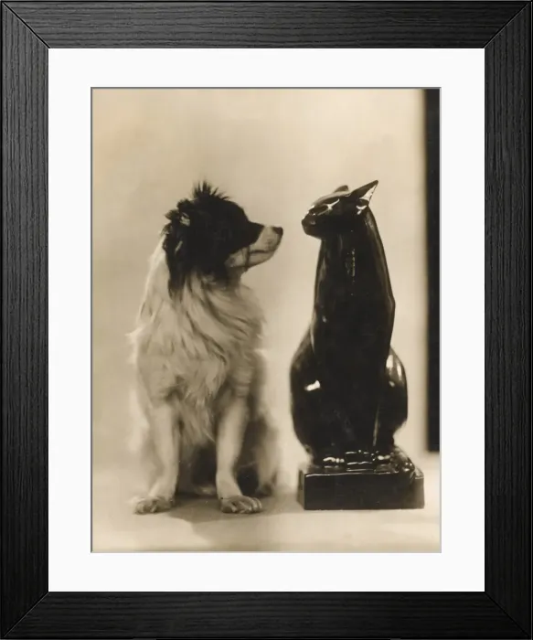 Framed Print : Well Say Something Framed Print : Well Say Something
