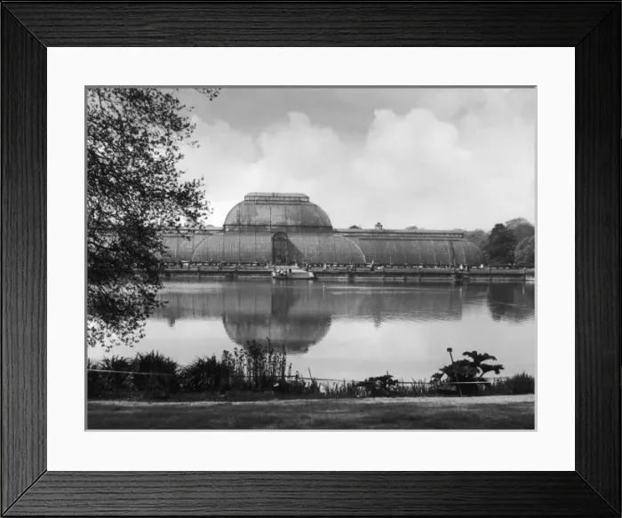 Framed Print : Kew Gardens Palm House Framed Print : Kew Gardens Palm House