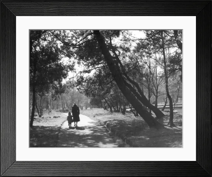 Framed Print : Autumn Walkers Framed Print : Autumn Walkers