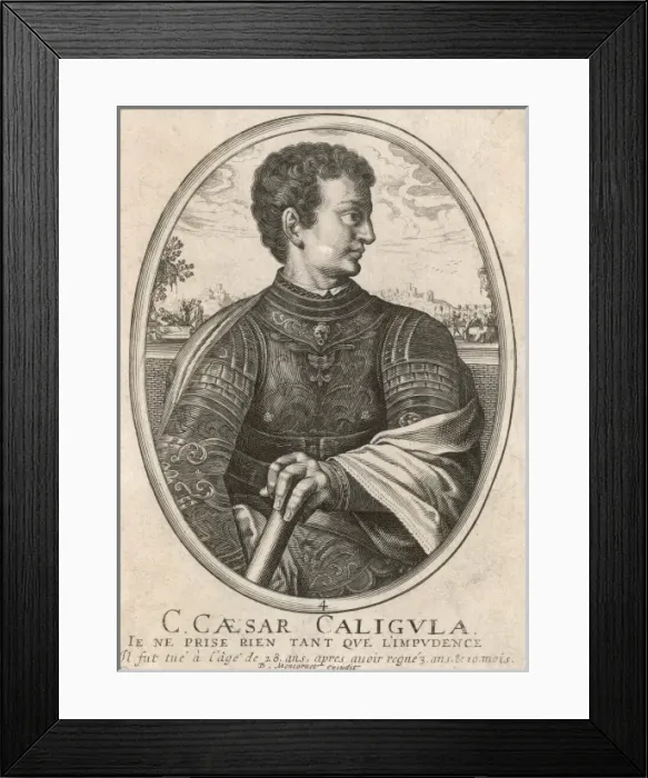 Framed Print : Caligula (Titian B&w) Framed Print : Caligula (Titian B&w)