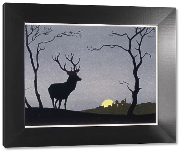 Stag Silhouetted