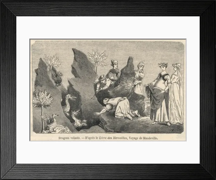 Framed Print : Dragon (Mandeville) Framed Print : Dragon (Mandeville)