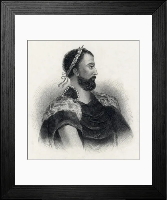 Framed Print : Julianus (Bearded) Framed Print : Julianus (Bearded)
