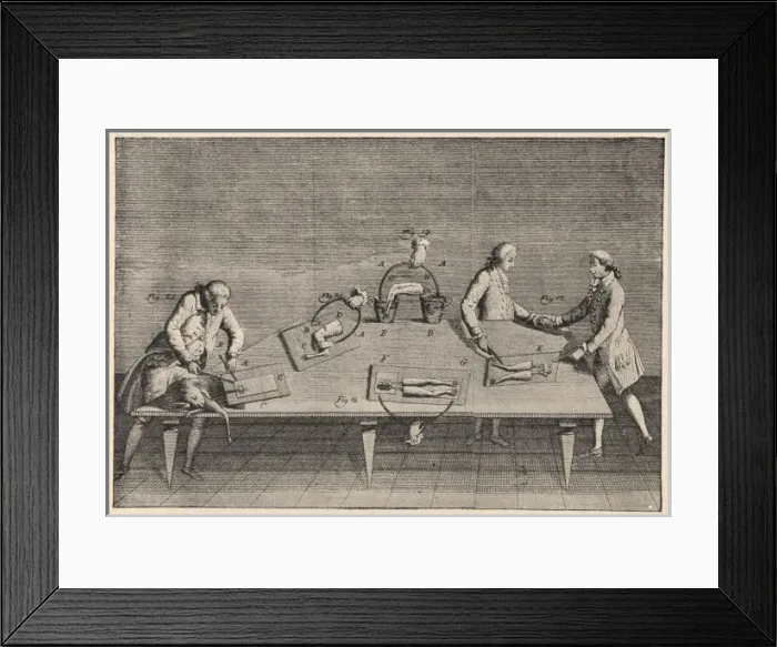 Framed Print : Science / Galvani / Electric Framed Print : Science / Galvani / Electric