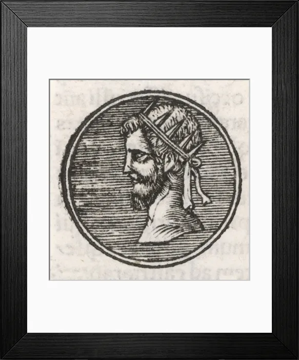 Framed Print : Publius L Valerianus Framed Print : Publius L Valerianus