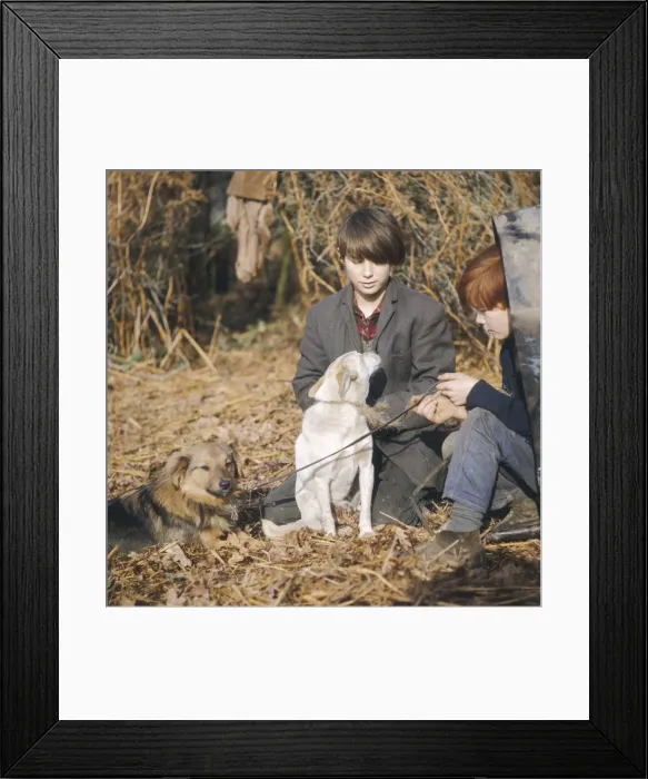 Framed Print : Gypsy Boys & their Dogs Framed Print : Gypsy Boys & their Dogs