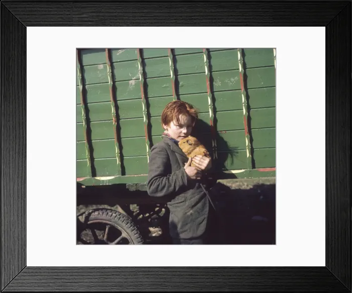 Framed Print : Gypsy Boy & Guinea Pig Framed Print : Gypsy Boy & Guinea Pig