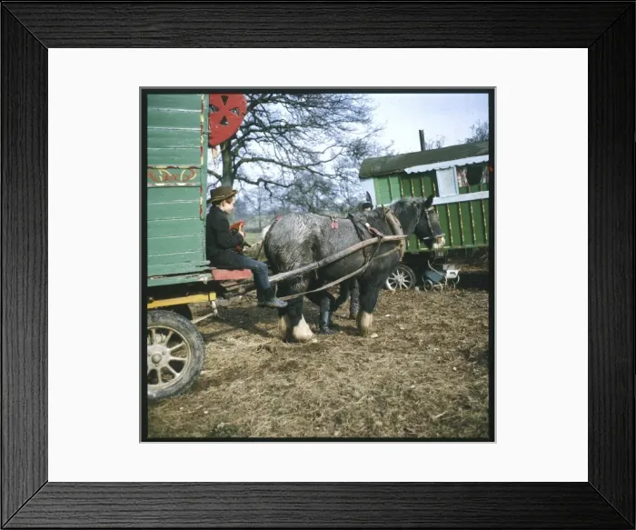 Framed Print : Young Gypsy Boy & Pony Framed Print : Young Gypsy Boy & Pony