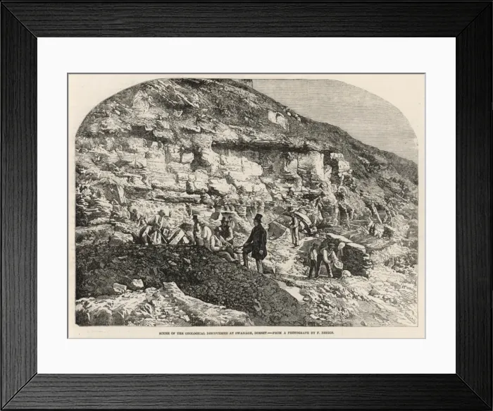 Framed Print : Geologists at Swanage