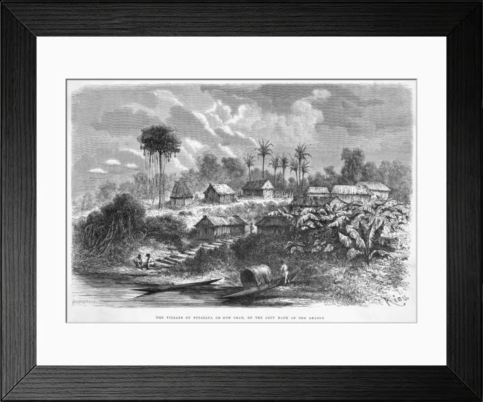 Framed Print : Peru Pucallpa Framed Print : Peru Pucallpa
