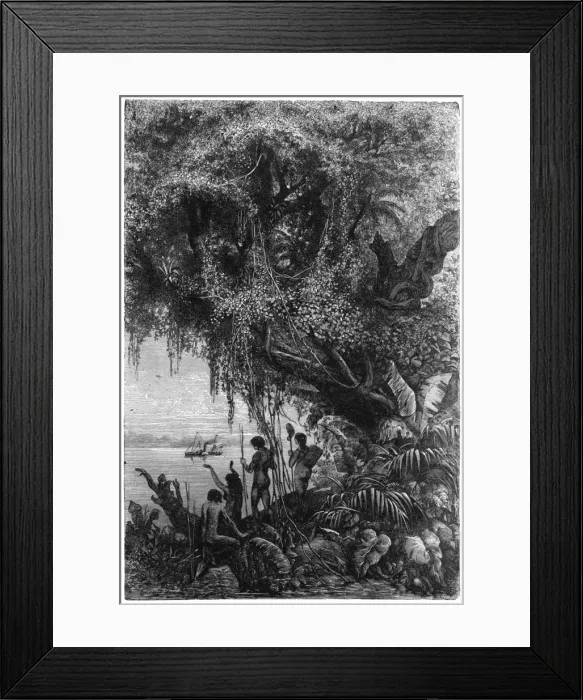 Framed Print : Venezuela Orinoco Framed Print : Venezuela Orinoco