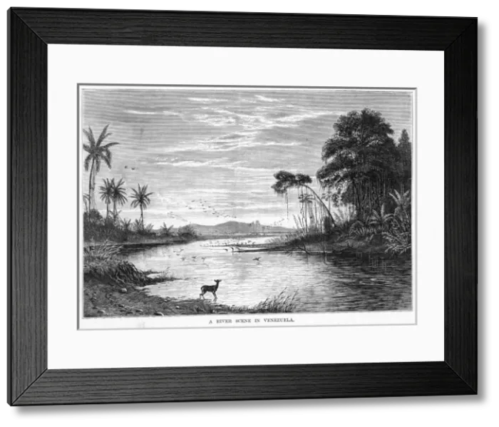 Framed Print : Venezuela Orinoco Framed Print : Venezuela Orinoco