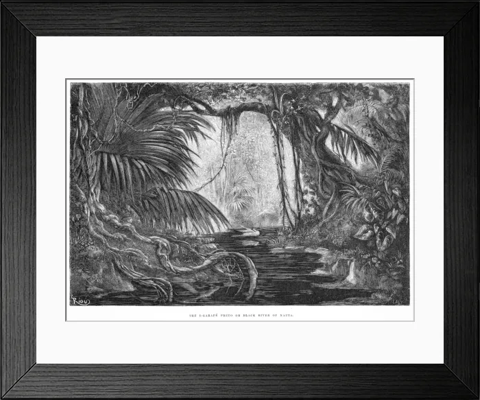 Framed Print : PERU RIVER Framed Print : PERU RIVER