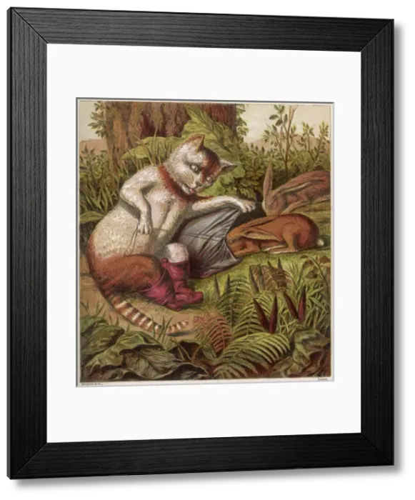 Framed Print : Puss in Boots - 2 Framed Print : Puss in Boots - 2
