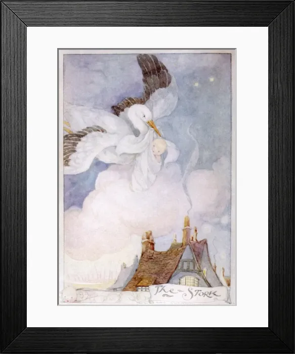 Framed Print : Stork / Baby / Anderson Framed Print : Stork / Baby / Anderson
