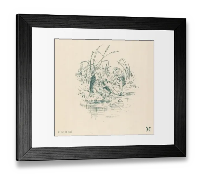 Framed Print : Zodiac Pisces Framed Print : Zodiac Pisces