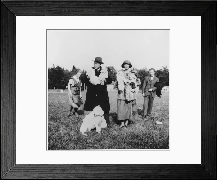 Framed Print : Karl Kralls Dogs Framed Print : Karl Kralls Dogs