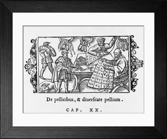 Framed Print : Stitching Fur Cloaks Framed Print : Stitching Fur Cloaks