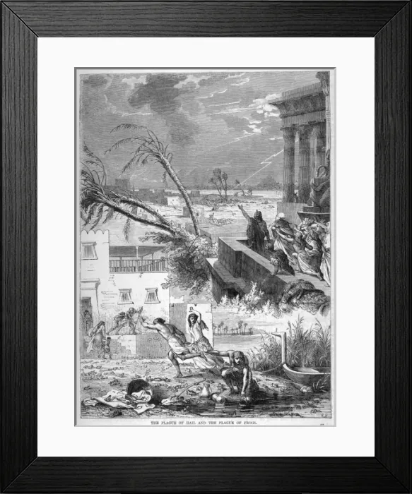 Framed Print : Plague of Frogs Framed Print : Plague of Frogs