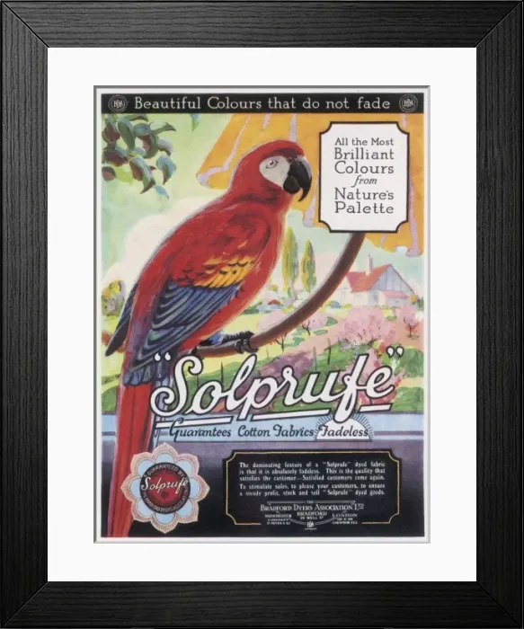 Framed Print : Macaw / Dye Adveret 1926 Framed Print : Macaw / Dye Adveret 1926