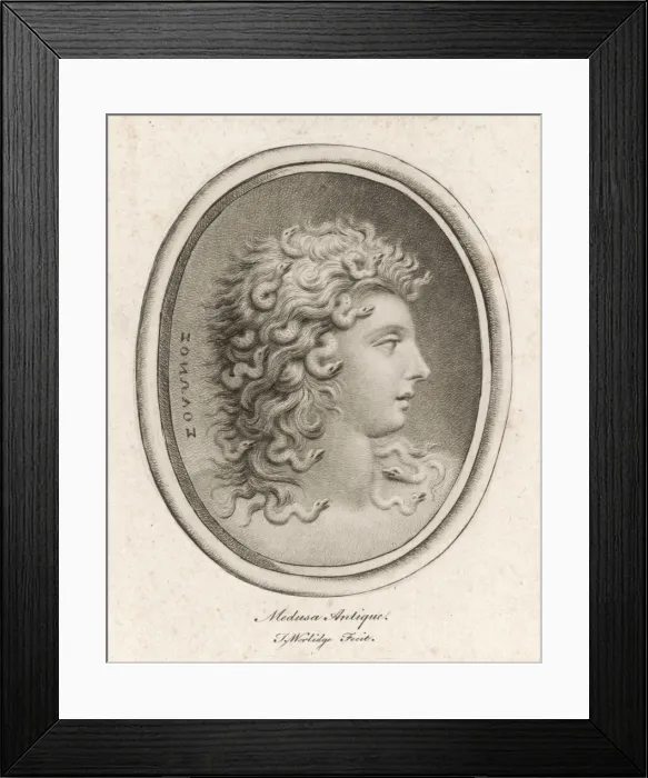 Framed Print : MEDUSA. Medusa has serpents the way you and I have hair - simply to see Framed Print : MEDUSA. Medusa has serpents the way you and I have hair - simply to see