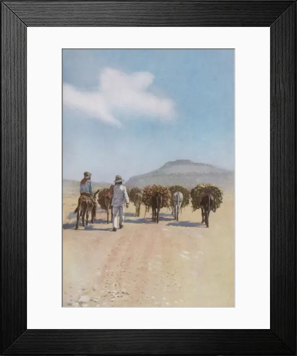 Framed Print : Hopis Gather Wood Framed Print : Hopis Gather Wood