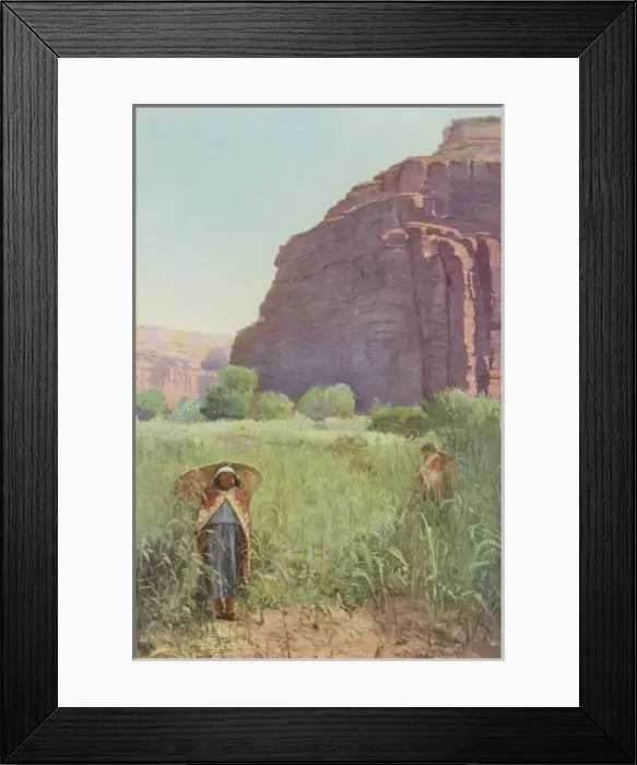 Framed Print : Cornfield, Arizona Framed Print : Cornfield, Arizona