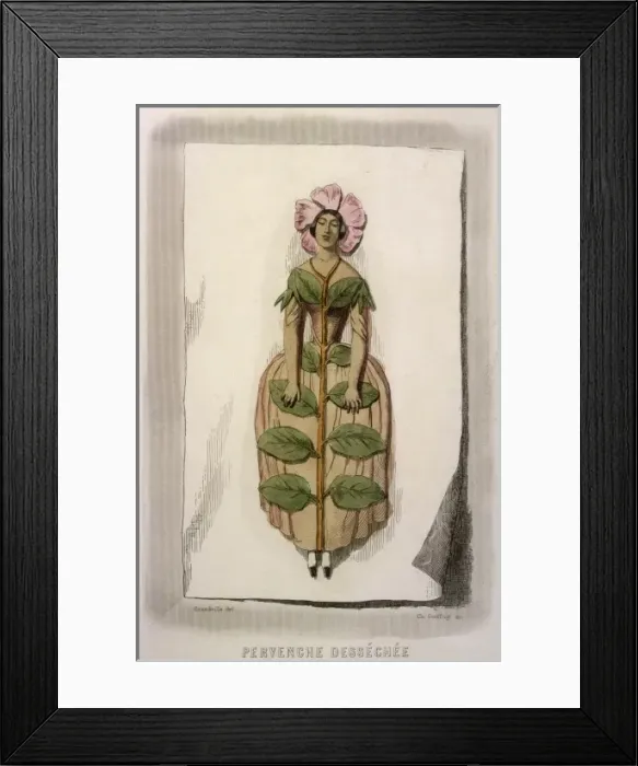 Framed Print : Dried Flower Periwinkle Framed Print : Dried Flower Periwinkle