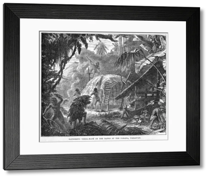 Framed Print : Paraguay Scene Framed Print : Paraguay Scene