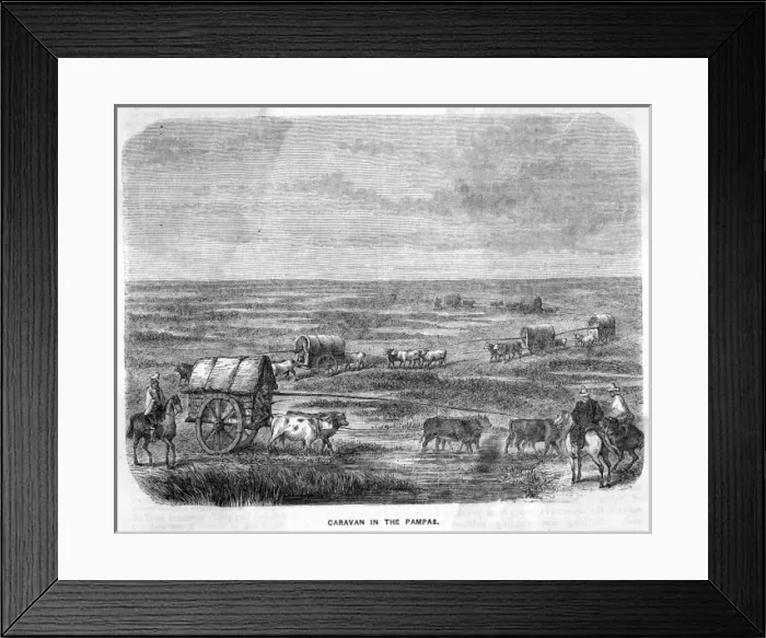 Framed Print : Argentina Pampas