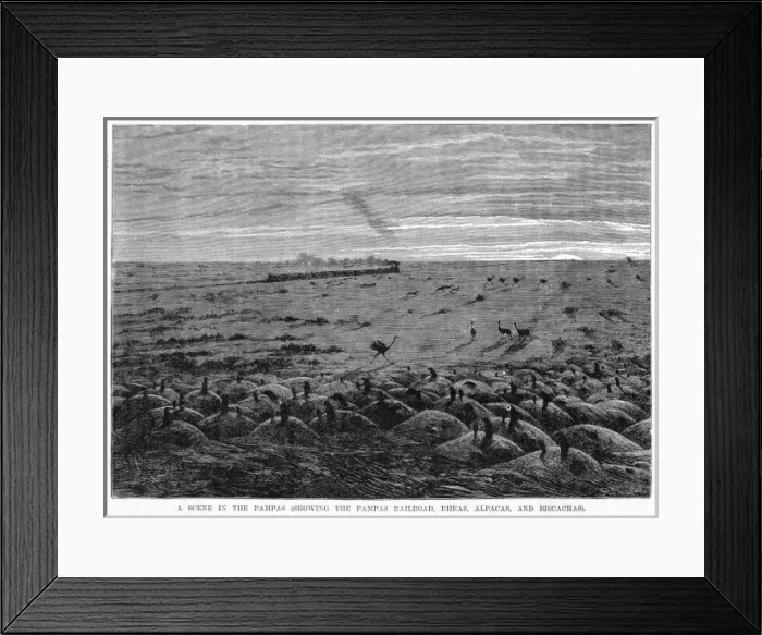 Framed Print : Argentina Pampas Framed Print : Argentina Pampas