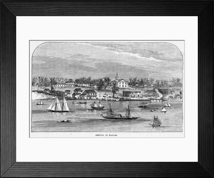 Framed Print : Brazil Manaos Framed Print : Brazil Manaos
