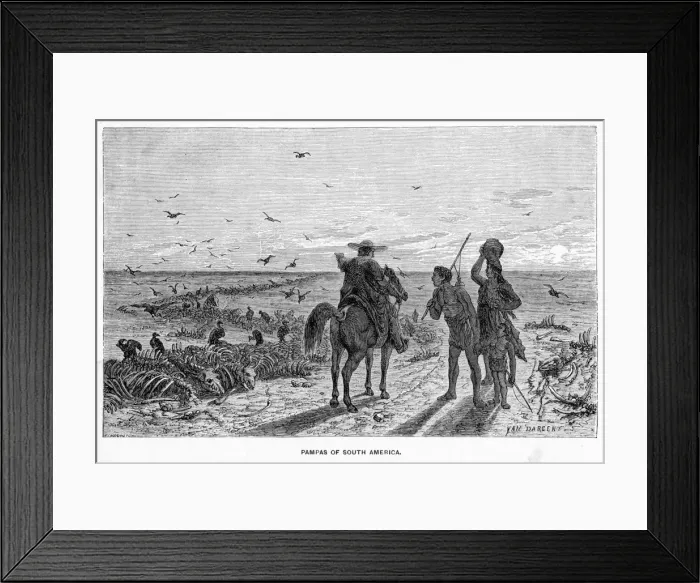 Framed Print : Argentina Pampas Framed Print : Argentina Pampas
